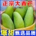 【超甜】正宗云南大青芒纯甜无丝整箱，支持一件代发，招代理