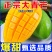 【超甜】正宗云南大青芒纯甜无丝整箱，支持一件代发，招代理