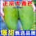 【超甜】正宗云南大青芒纯甜无丝整箱，支持一件代发，招代理