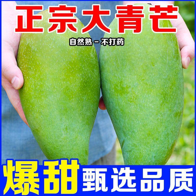 【超甜】正宗云南大青芒纯甜无丝整箱，支持一件代发，招代理