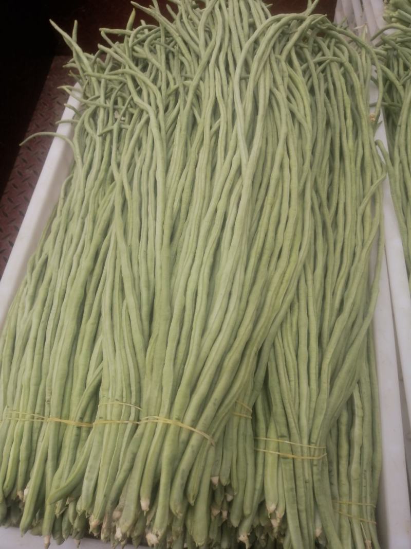 烘干豆角颗粒，干度好，颜色正，价格美丽！一手货源！