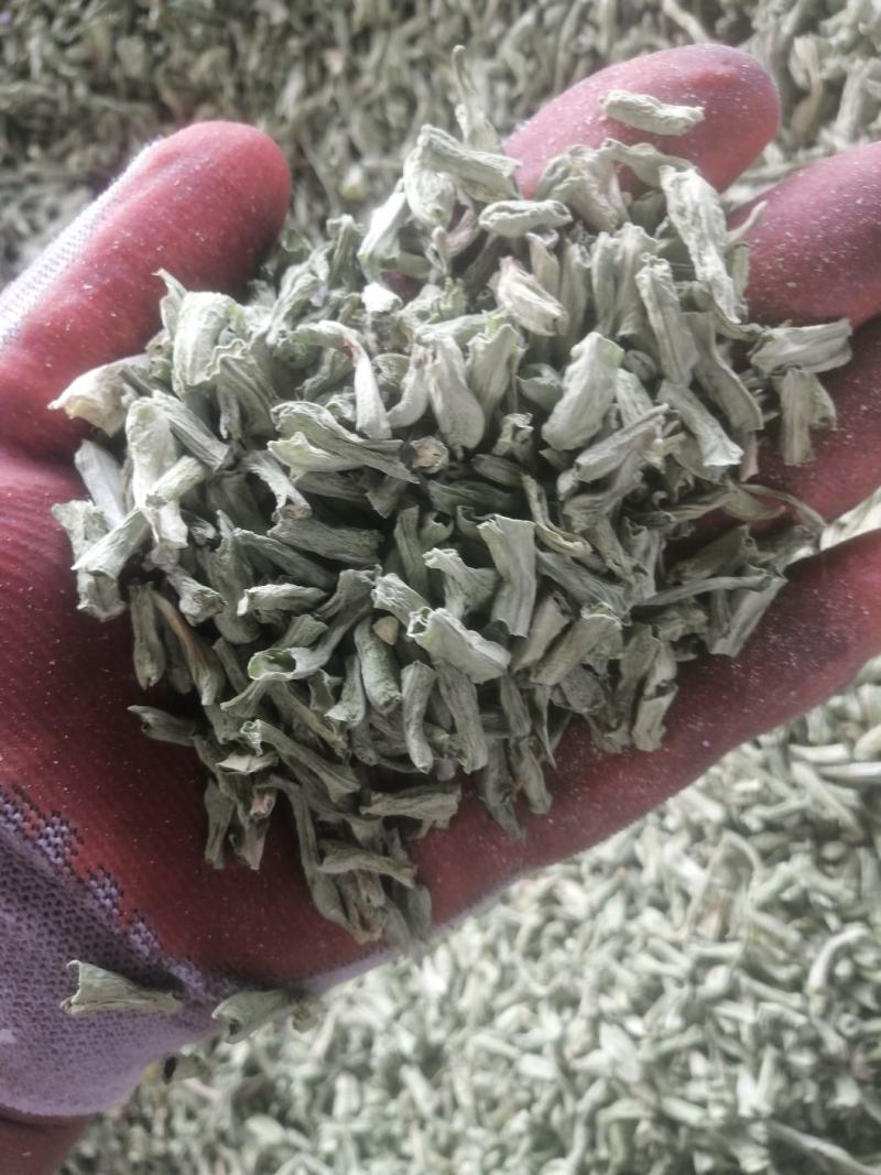 烘干豆角颗粒，干度好，颜色正，价格美丽！一手货源！