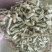烘干豆角颗粒，干度好，颜色正，价格美丽！一手货源！