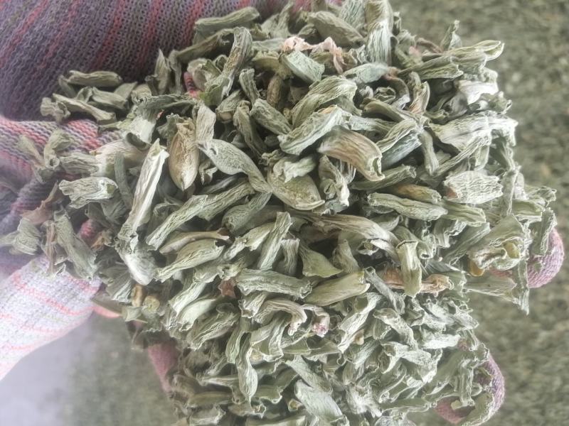 烘干豆角颗粒，干度好，颜色正，价格美丽！一手货源！