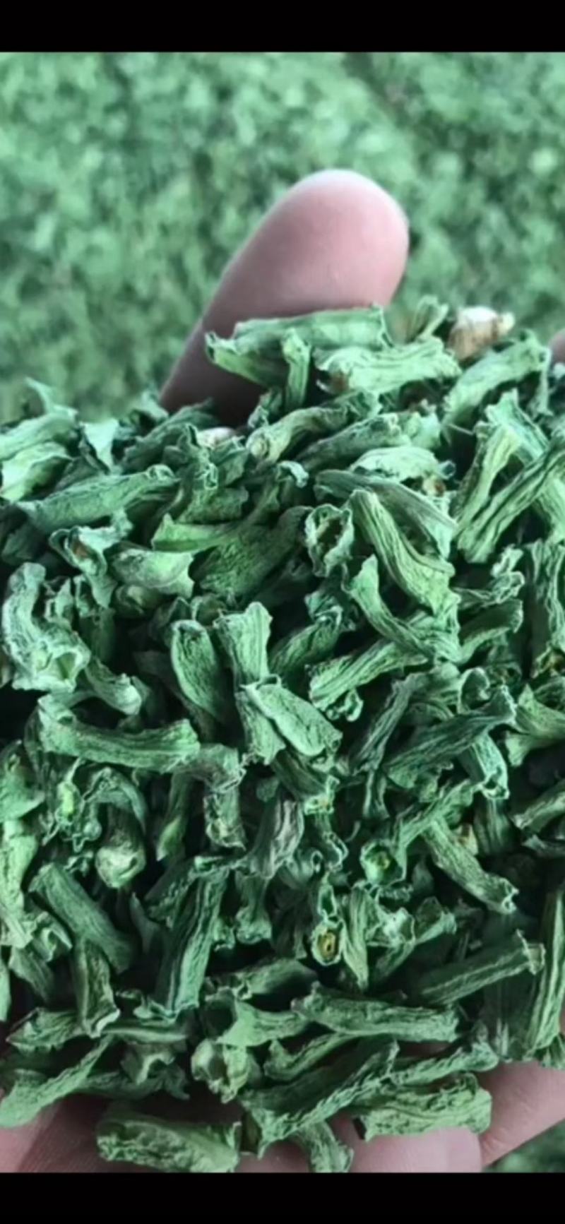 烘干豆角颗粒，干度好，颜色正，价格美丽！一手货源！