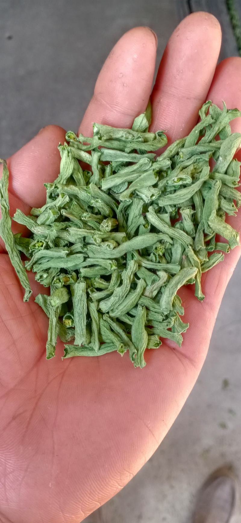 烘干豆角颗粒，干度好，颜色正，价格美丽！一手货源！