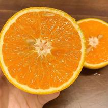 湖北夏橙大量上市皮薄汁多酸甜可口，对接全国各地电商市场