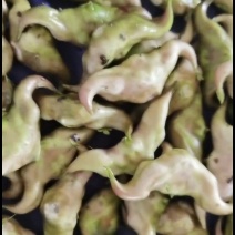精品清水菱角，湖北优质菱角源产地，2026新鲜上市。