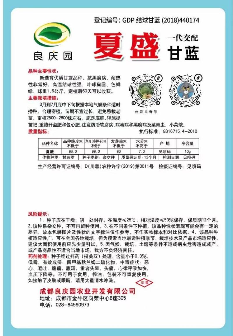 甘蓝种子夏盛耐热甜脆甘蓝新品种无腊粉叶油绿3＿7月