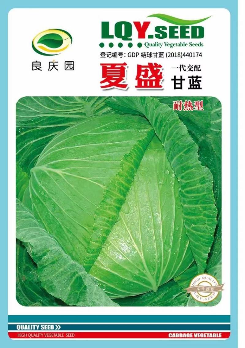 甘蓝种子夏盛耐热甜脆甘蓝新品种无腊粉叶油绿3＿7月