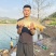 生态草鱼鲤鱼