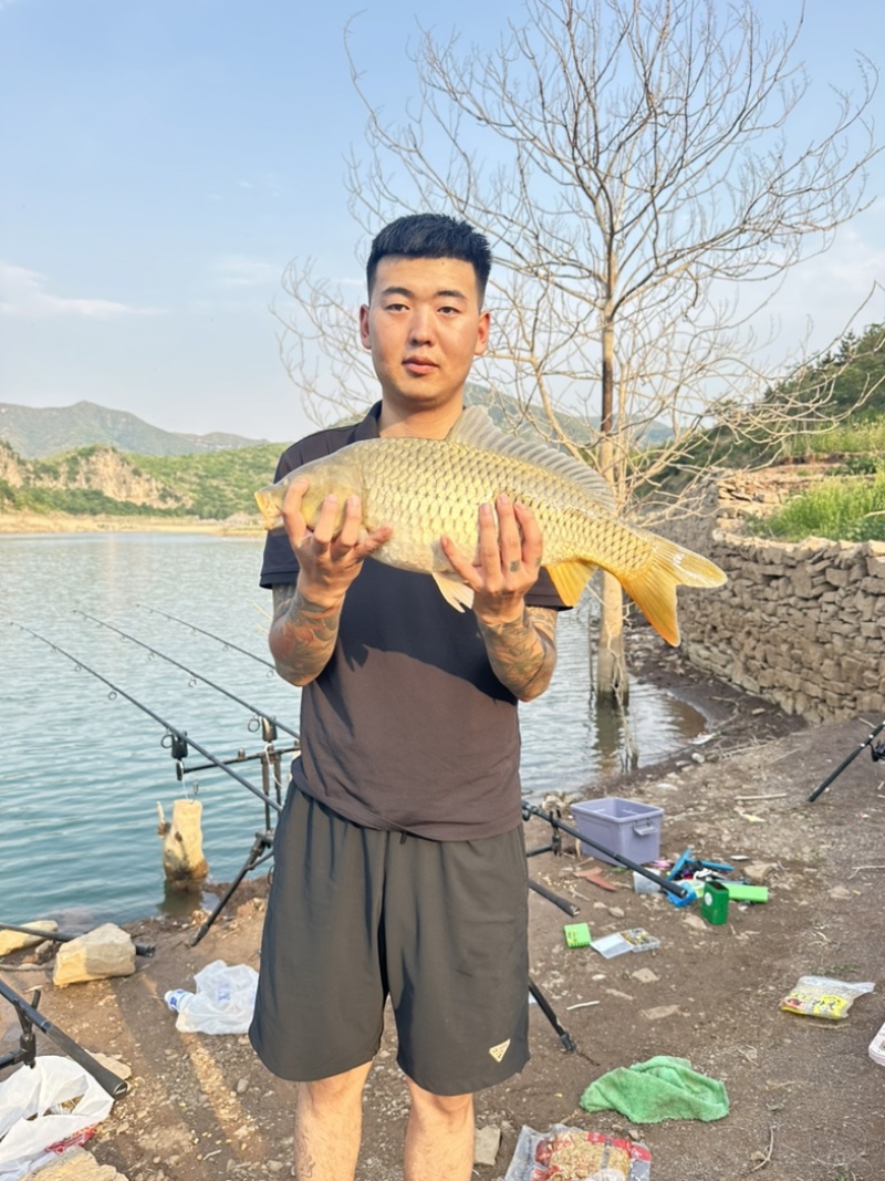 生态草鱼鲤鱼