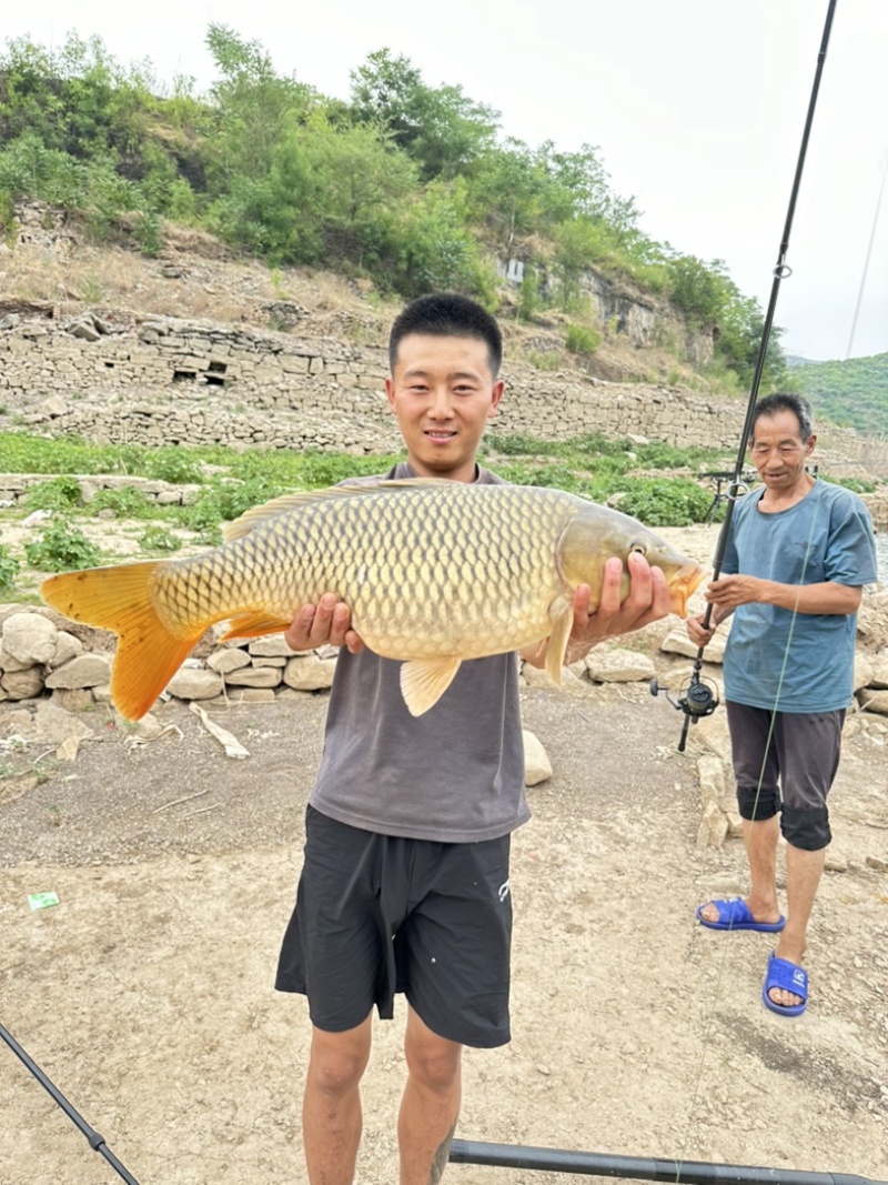 生态草鱼鲤鱼