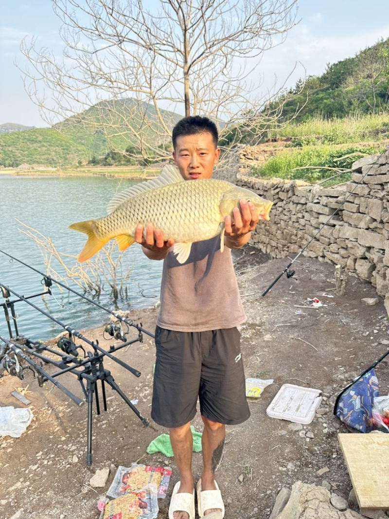 生态草鱼鲤鱼