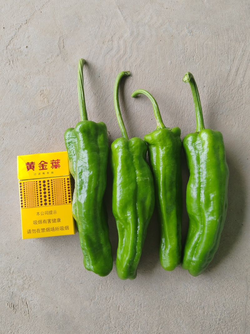 精品泡椒，大量现货，产地直供，一手货源。