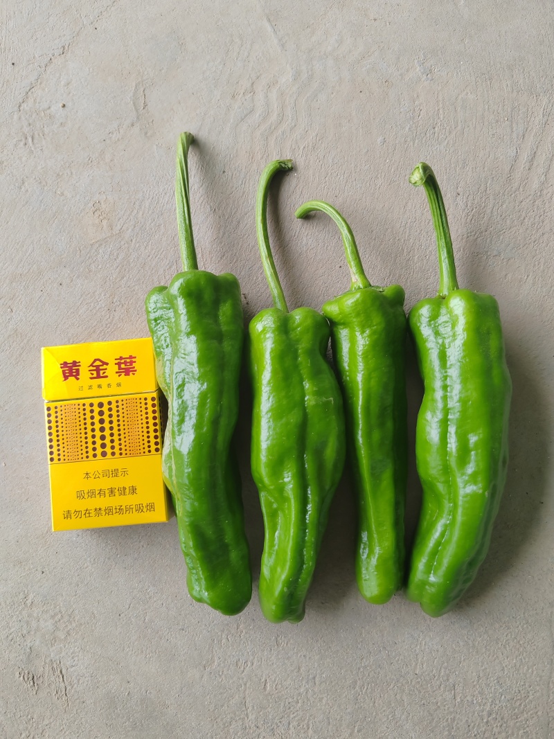 精品泡椒，大量现货，产地直供，一手货源。