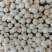 【可孵化甲鱼蛋】江西南丰县甲鱼蛋保质保量产地直发