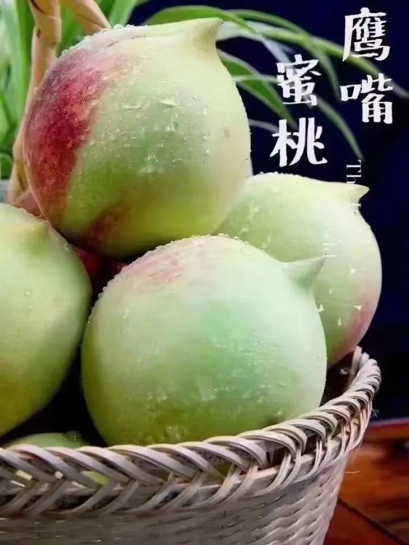 广东连平鹰嘴水蜜桃