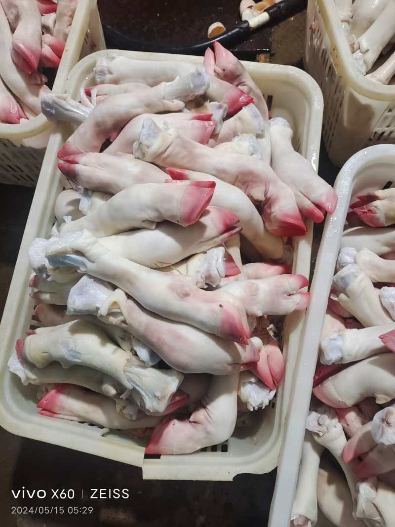 牛副产品，，小牛净蹄网红爆火的小牛蹄