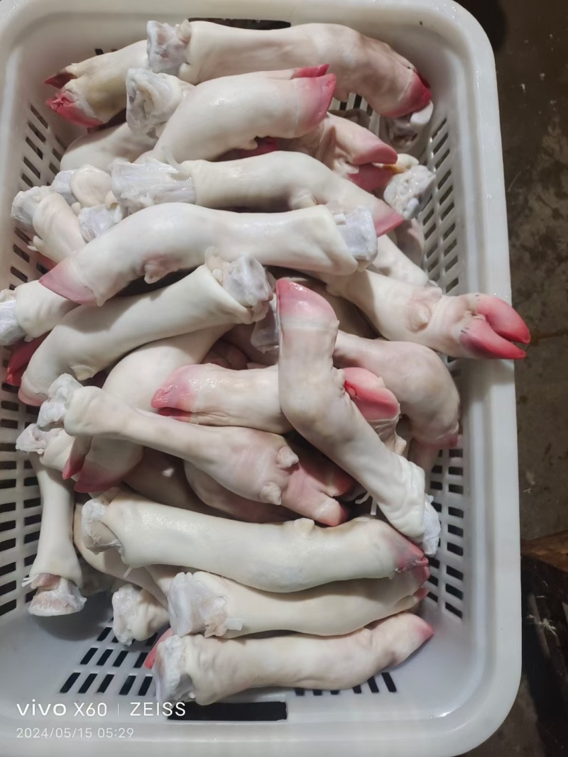 牛副产品，，小牛净蹄网红爆火的小牛蹄