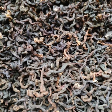 牡丹江林区长白山地区野生微菜干（牛毛广）