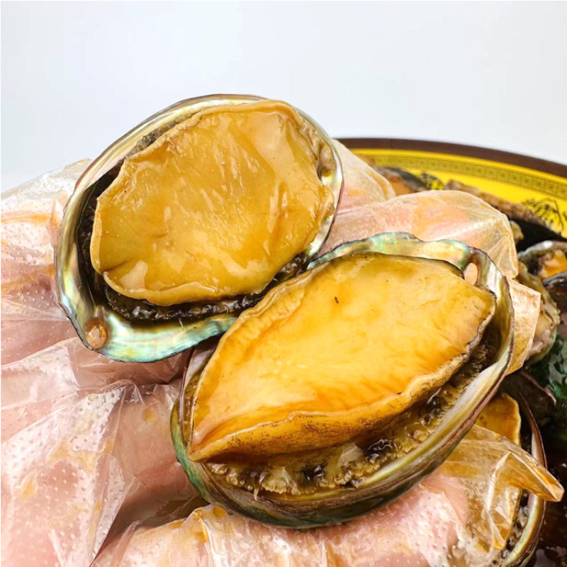 【捞汁小海鲜】捞汁鲍鱼批发，一袋也是批发价，三袋顺丰送到