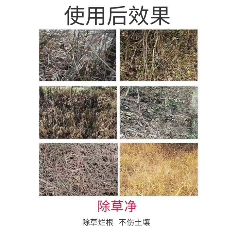 草甘磷铵盐灭生性除草剂死草烂根不返清厂家直销正品