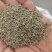 牛膝种子，怀牛膝种子，5斤以上非边远地区包邮！