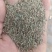 牛膝种子，怀牛膝种子，5斤以上非边远地区包邮！