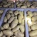 【推荐】山东精品黄心土豆产地直发全年有货对接全国