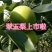 翠玉梨苹果梨青苹果梨翠玉梨苹果梨青苹果梨