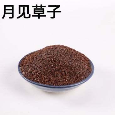 中药材月见草子山芝麻子月见草籽