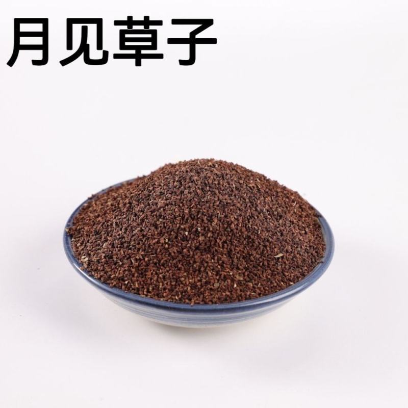 中药材月见草子山芝麻子月见草籽