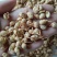 黄豆卷豆黄卷祥泰药材栈中药材批发零售实物拍摄量多从优