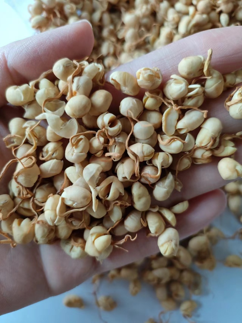 黄豆卷豆黄卷祥泰药材栈中药材批发零售实物拍摄量多从优