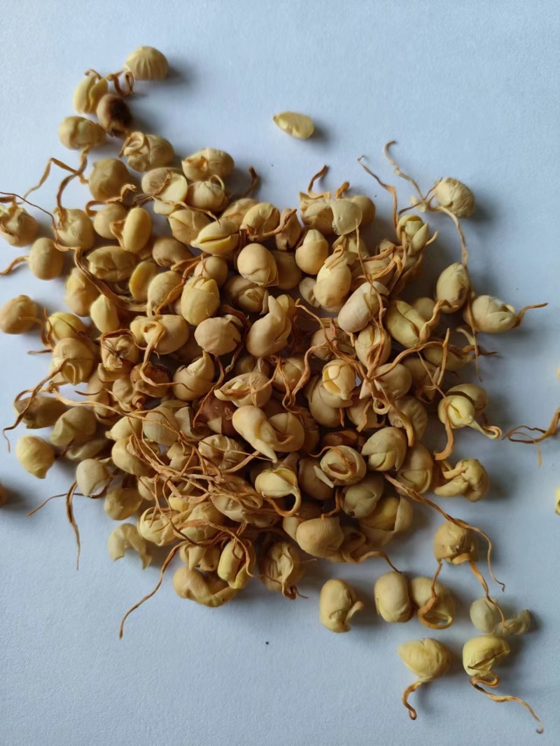 黄豆卷豆黄卷祥泰药材栈中药材批发零售实物拍摄量多从优
