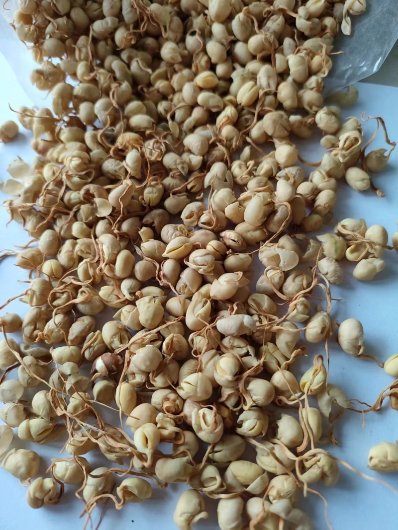 黄豆卷豆黄卷祥泰药材栈中药材批发零售实物拍摄量多从优