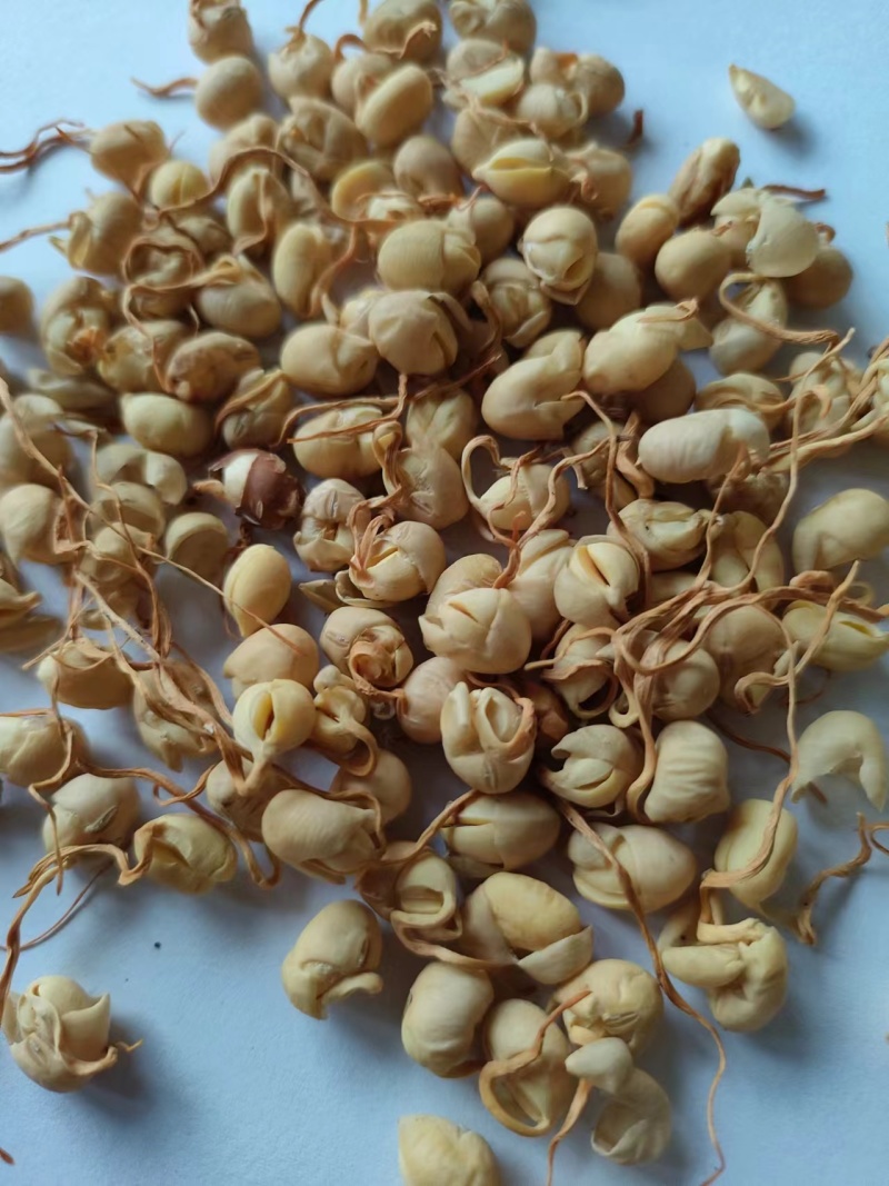黄豆卷豆黄卷祥泰药材栈中药材批发零售实物拍摄量多从优