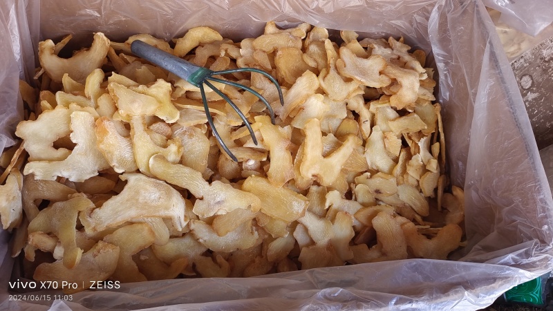 黄精选货湖南干货2斤起包邮量大优惠