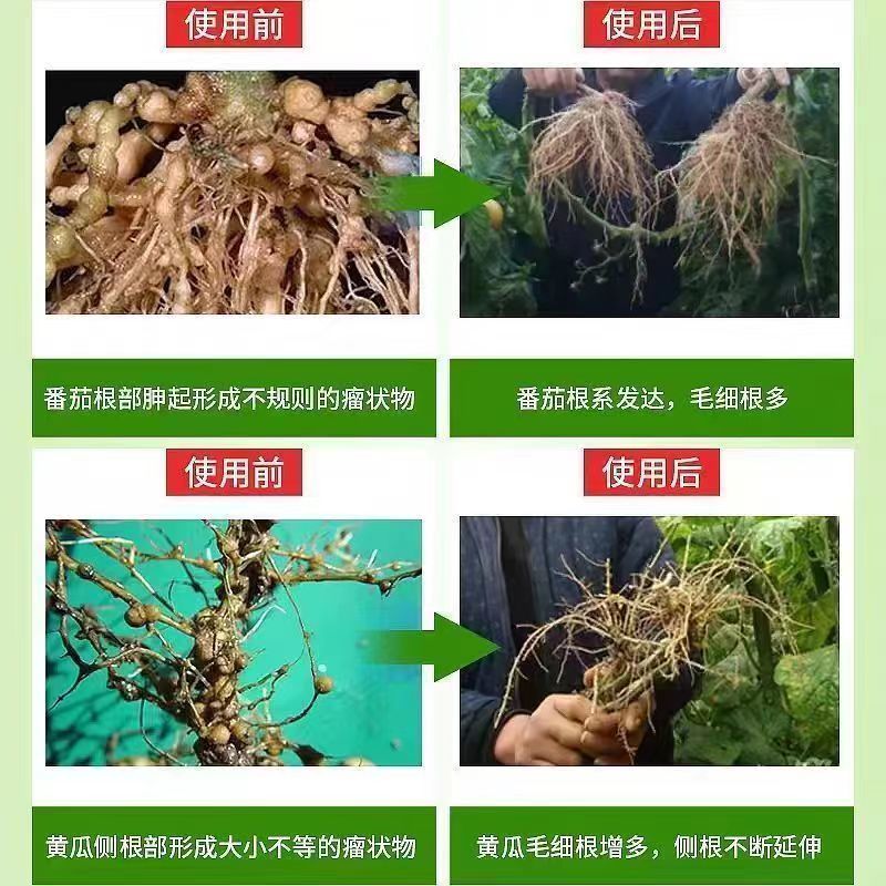 根结线虫专用药杀虫杀卵不伤根不伤苗阿维菌素·寡糖噻唑膦