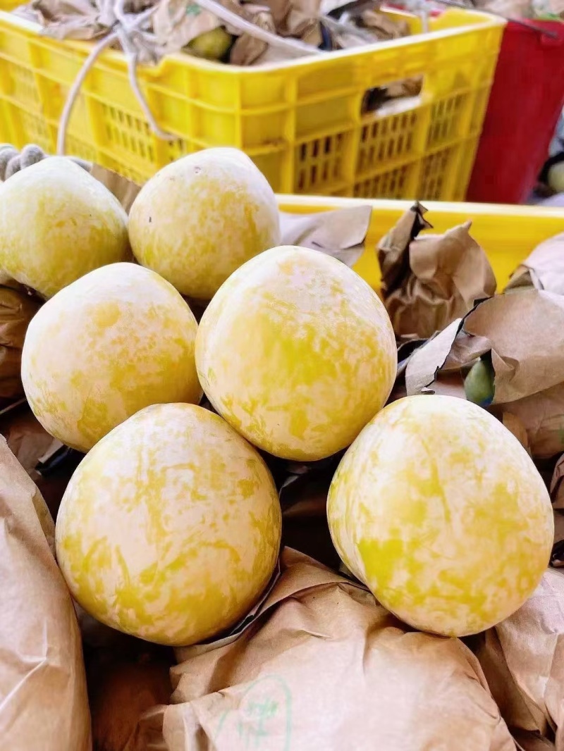 黄金奈李