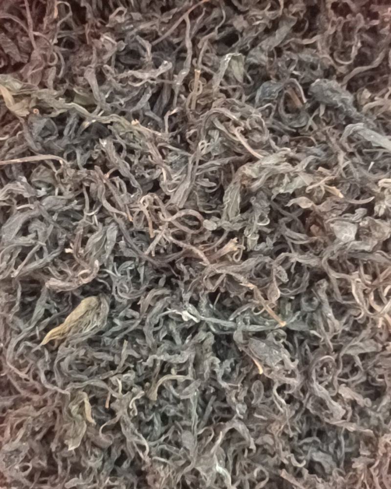 老鹰茶