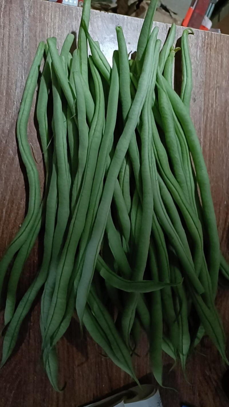 甘肃陇南豆王架豆王豆角产地直供量大从优全国发货