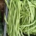 甘肃陇南豆王架豆王豆角产地直供量大从优全国发货