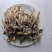100克鹿茸菇精心挑选优质食材煲汤炒菜味美香甜
