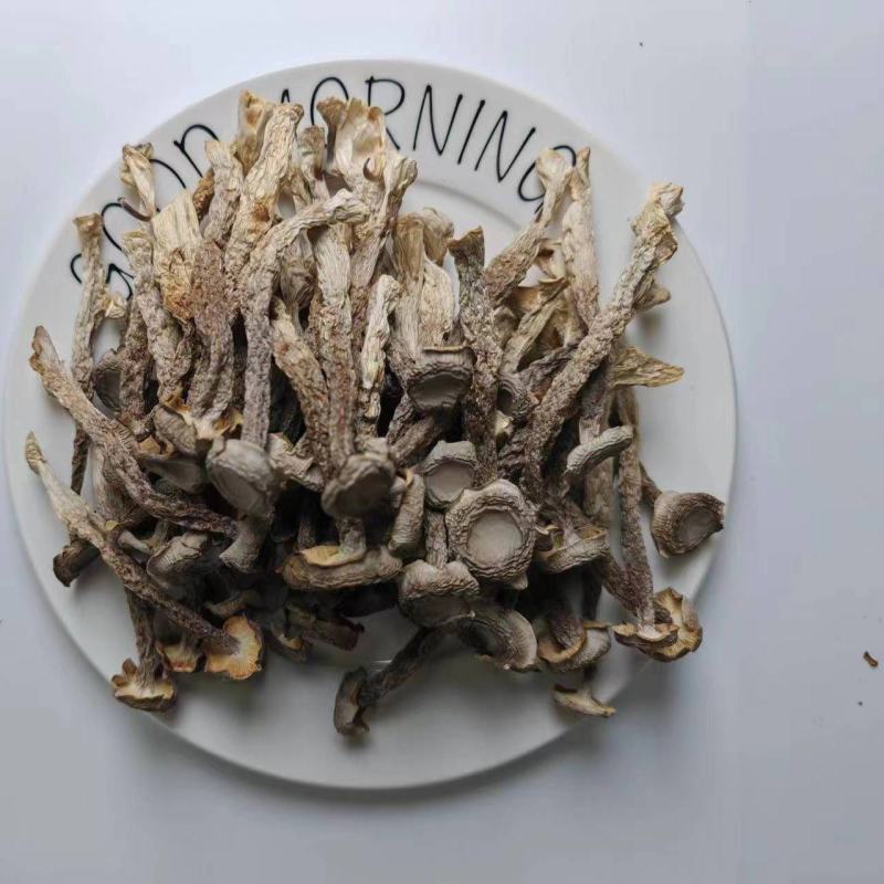 100克鹿茸菇精心挑选优质食材煲汤炒菜味美香甜