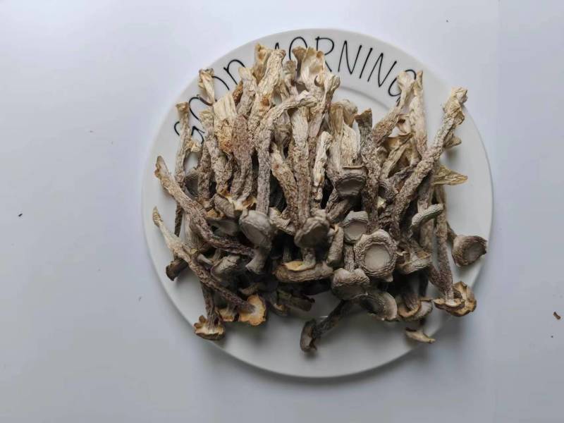 100克鹿茸菇精心挑选优质食材煲汤炒菜味美香甜