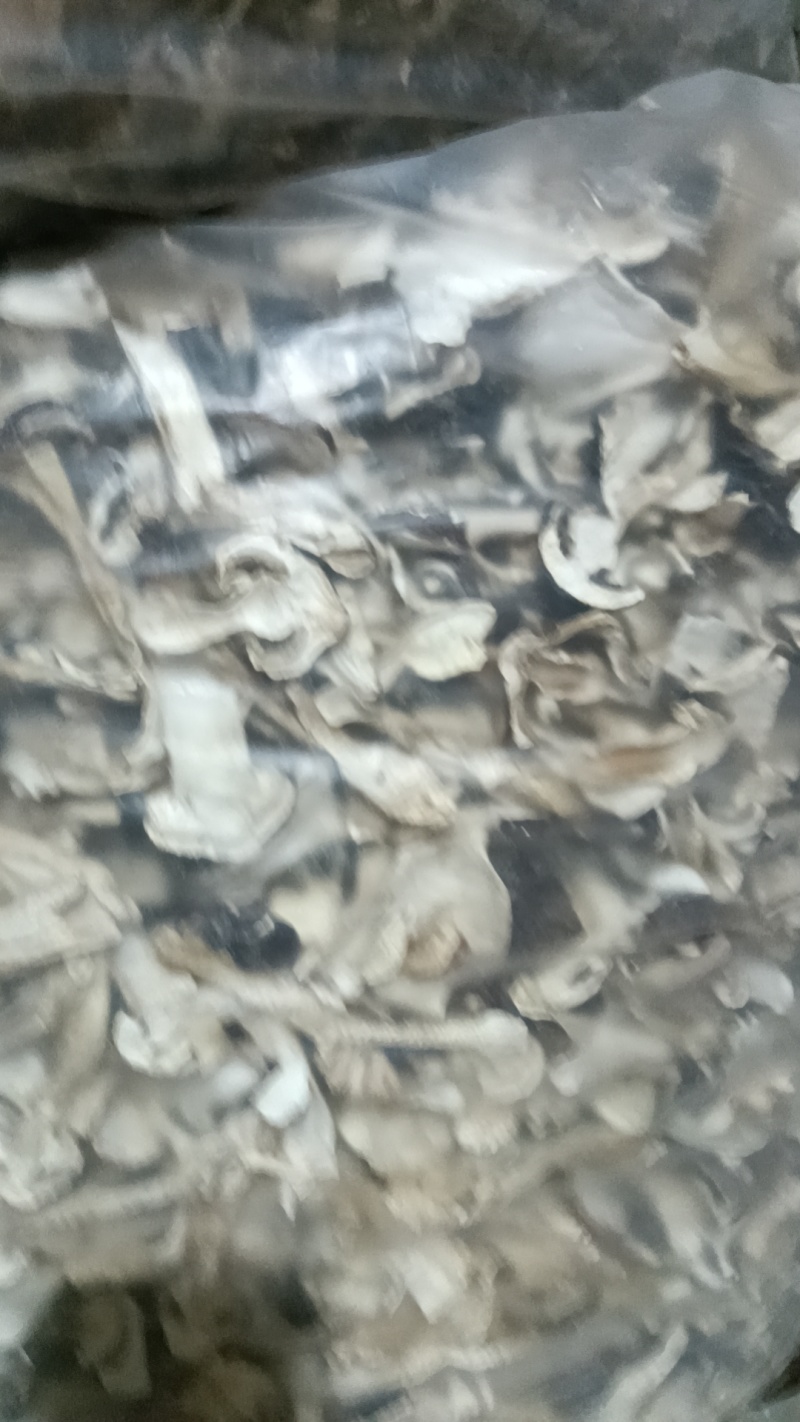 大球盖菇干货，自家基地直发，量大从优可视频看货欢迎选购
