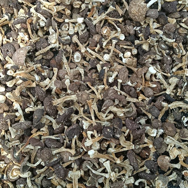 大球盖菇干货，自家基地直发，量大从优可视频看货欢迎选购