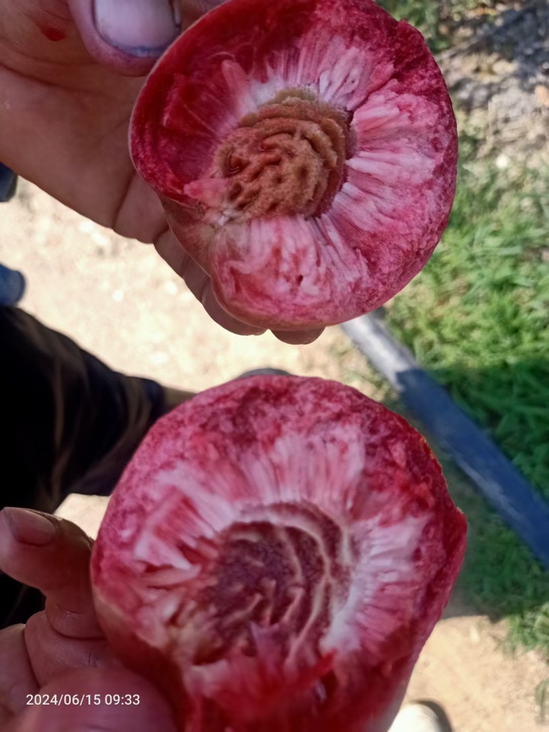 湖北血桃，口感纯甜，产地直供，全国可发货